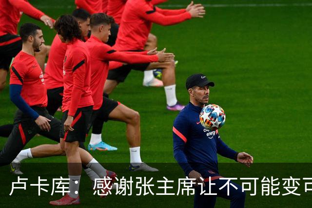 卢卡库：感谢张主席让不可能变可能 会全力帮国米
