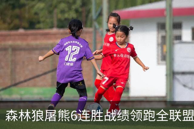 森林狼屠熊6连胜战绩领跑全联盟 骑士力克热火